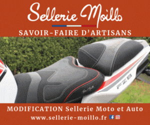 Sellerie Moillo